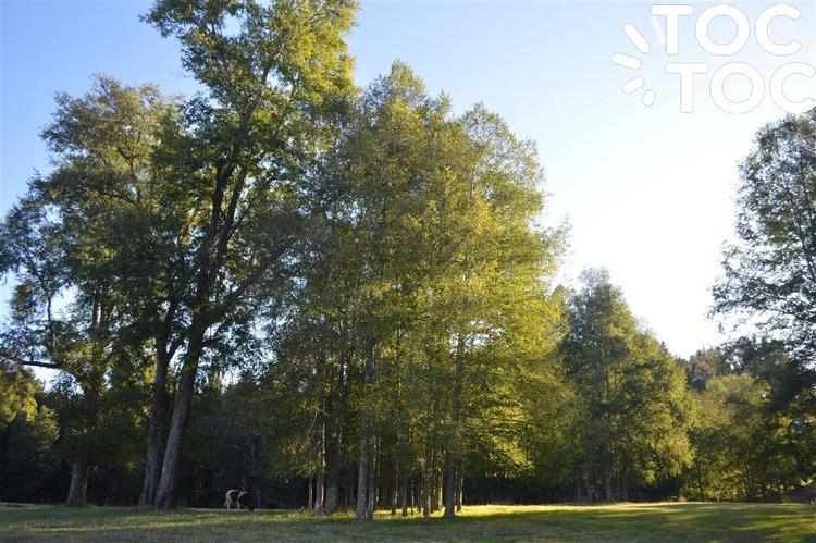 terreno en venta en Villarrica