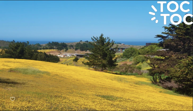 terreno en venta en Pichilemu