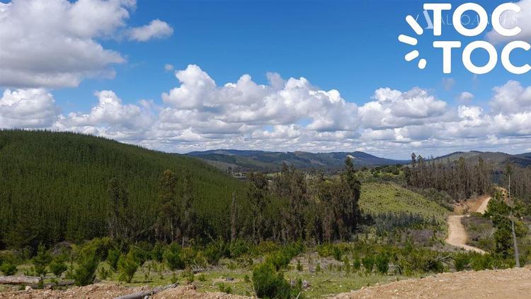 terreno en venta en Vichuquén