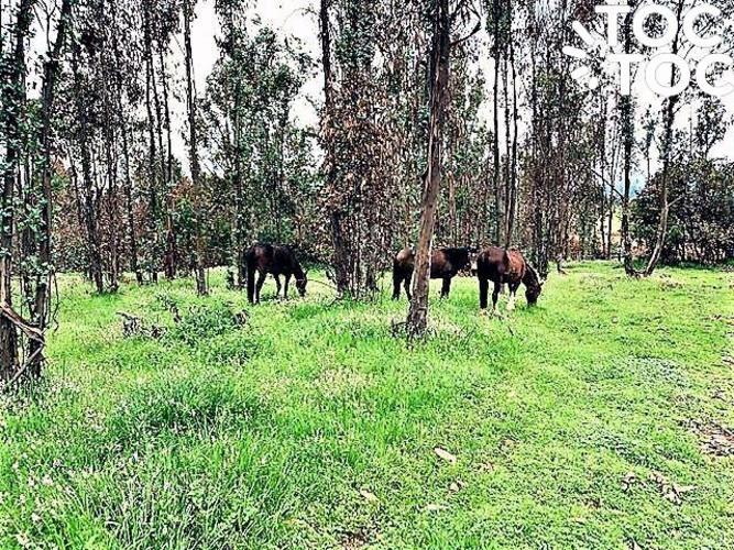 terreno en venta en Quintero