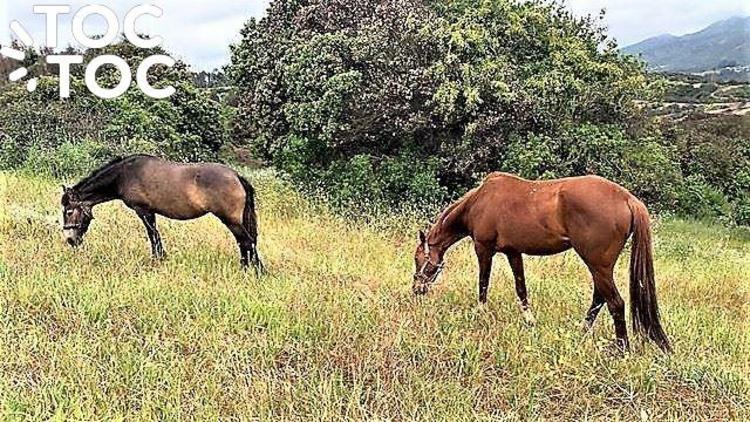 terreno en venta en Quintero