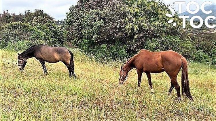 terreno en venta en Quintero