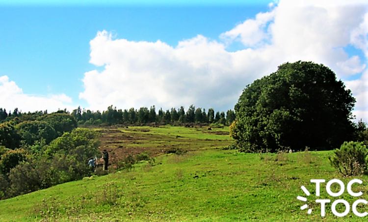 terreno en venta en Quintero