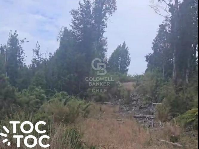 ¡Descubre tu oasis en Chiloé! Aguas Buenas, Ancud.