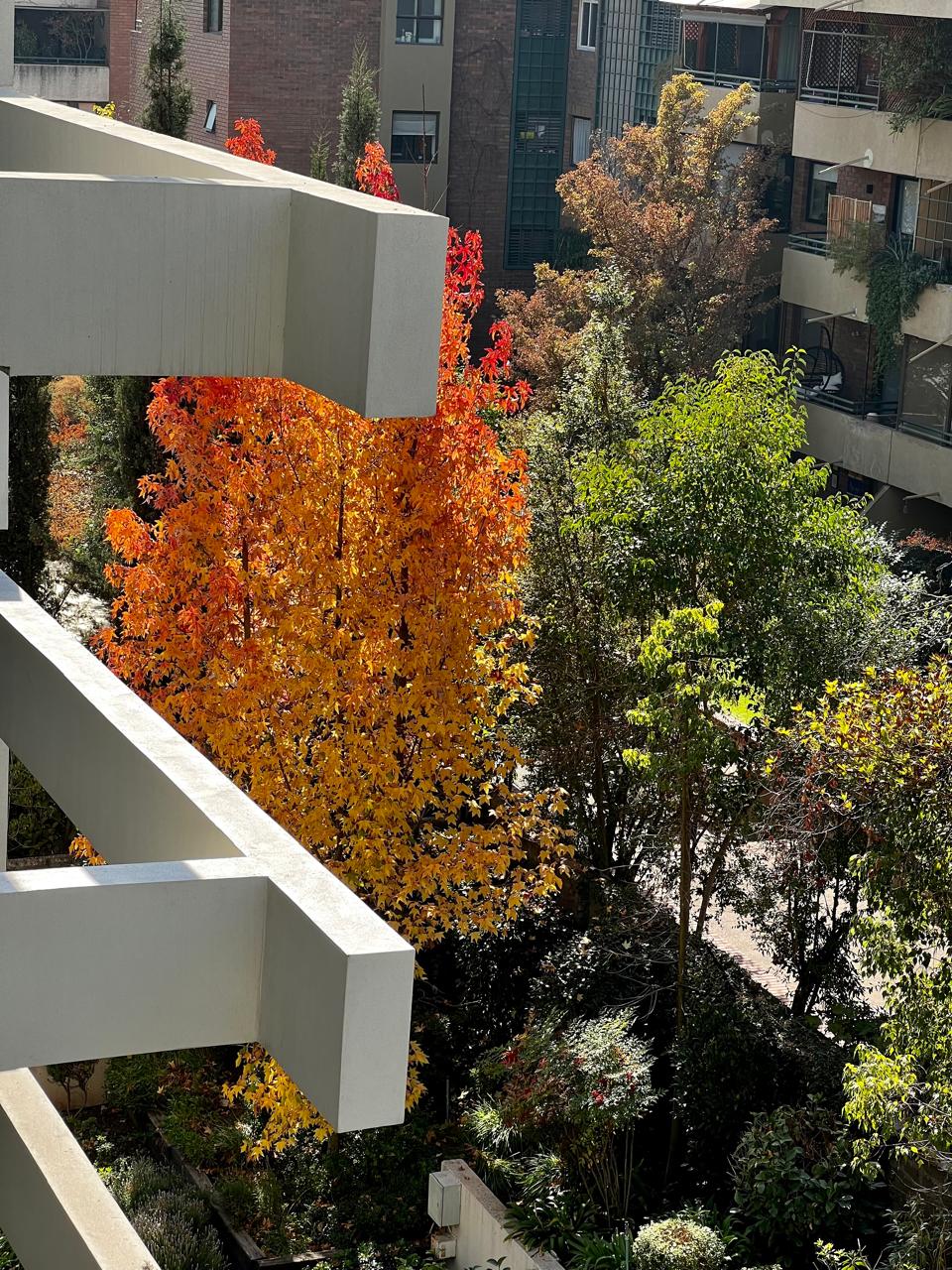 Venta Usado Departamento 2D 2B E B - Vitacura