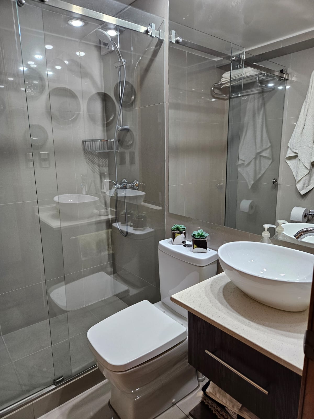 Venta Usado Departamento 4D 4B - Las Condes