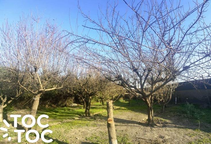 terreno en venta en Colina