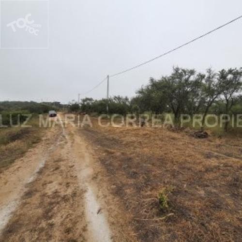 terreno en venta en Limache