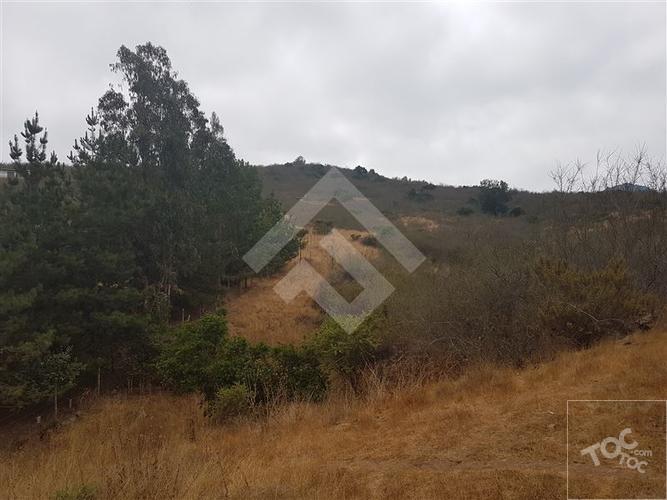 terreno en venta en Zapallar