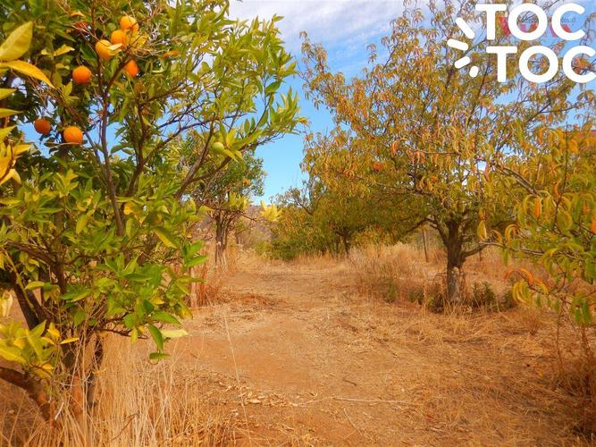 parcela en venta en Curacaví