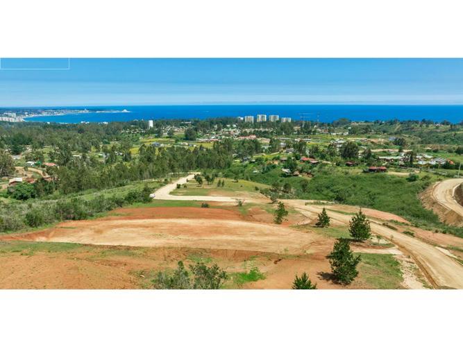 terreno en venta en Algarrobo