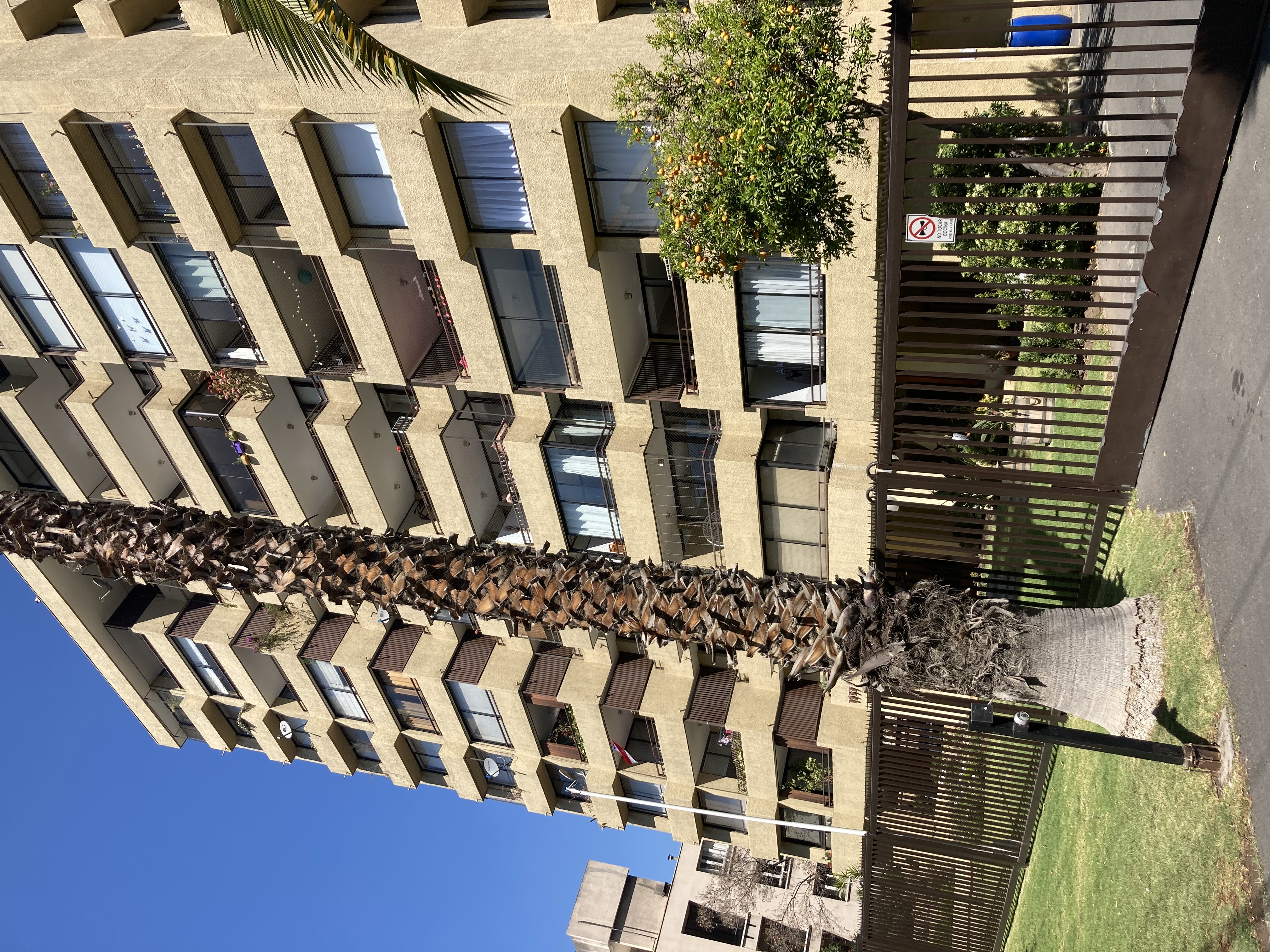 Venta Usado Departamento 1D 1B E B - Providencia