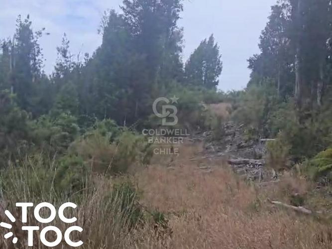 ¡Descubre tu oasis en Chiloé!  Aguas Buenas, Ancud.