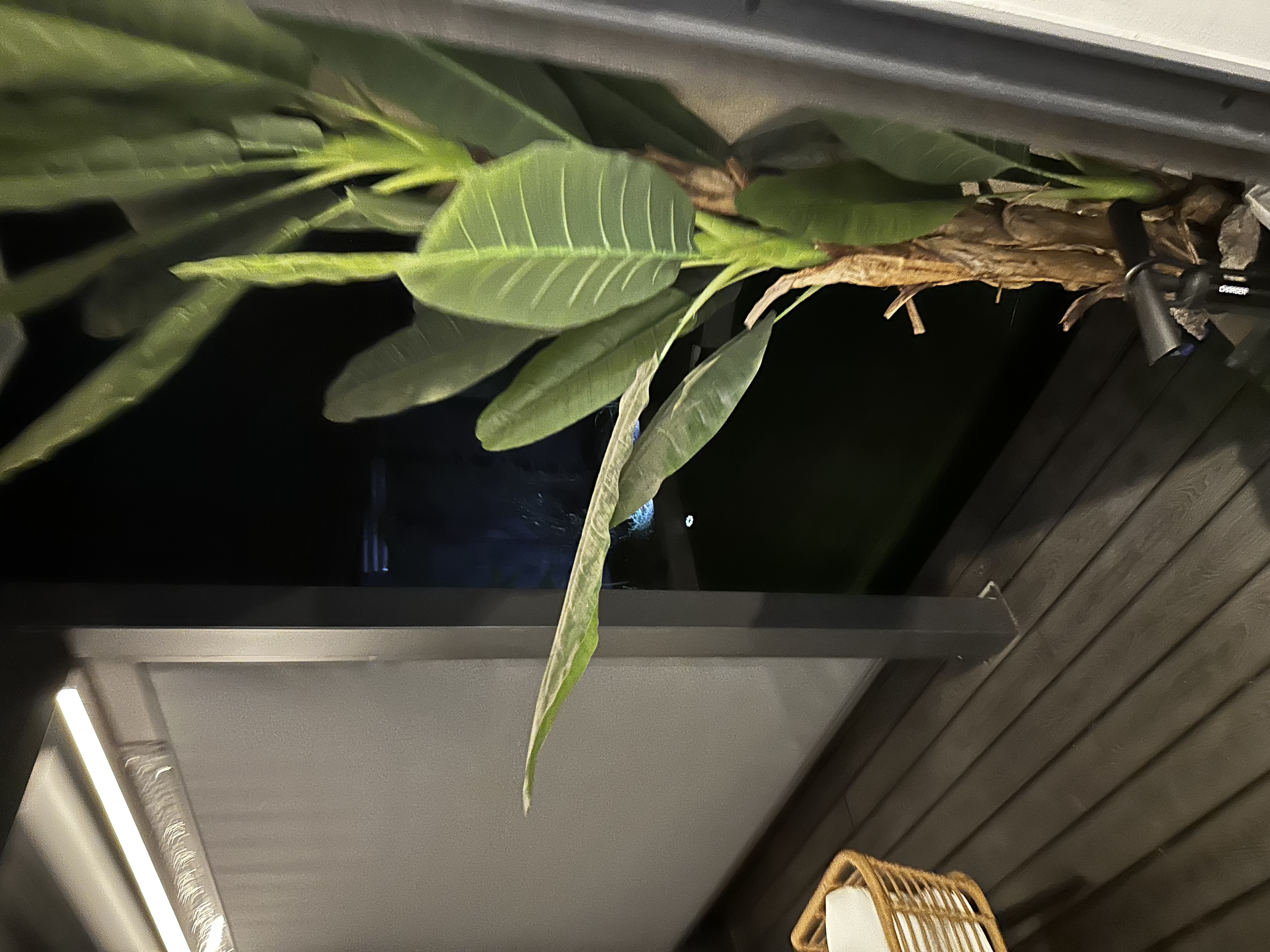 Venta Usado Departamento 2D 2B E B - Lo Barnechea