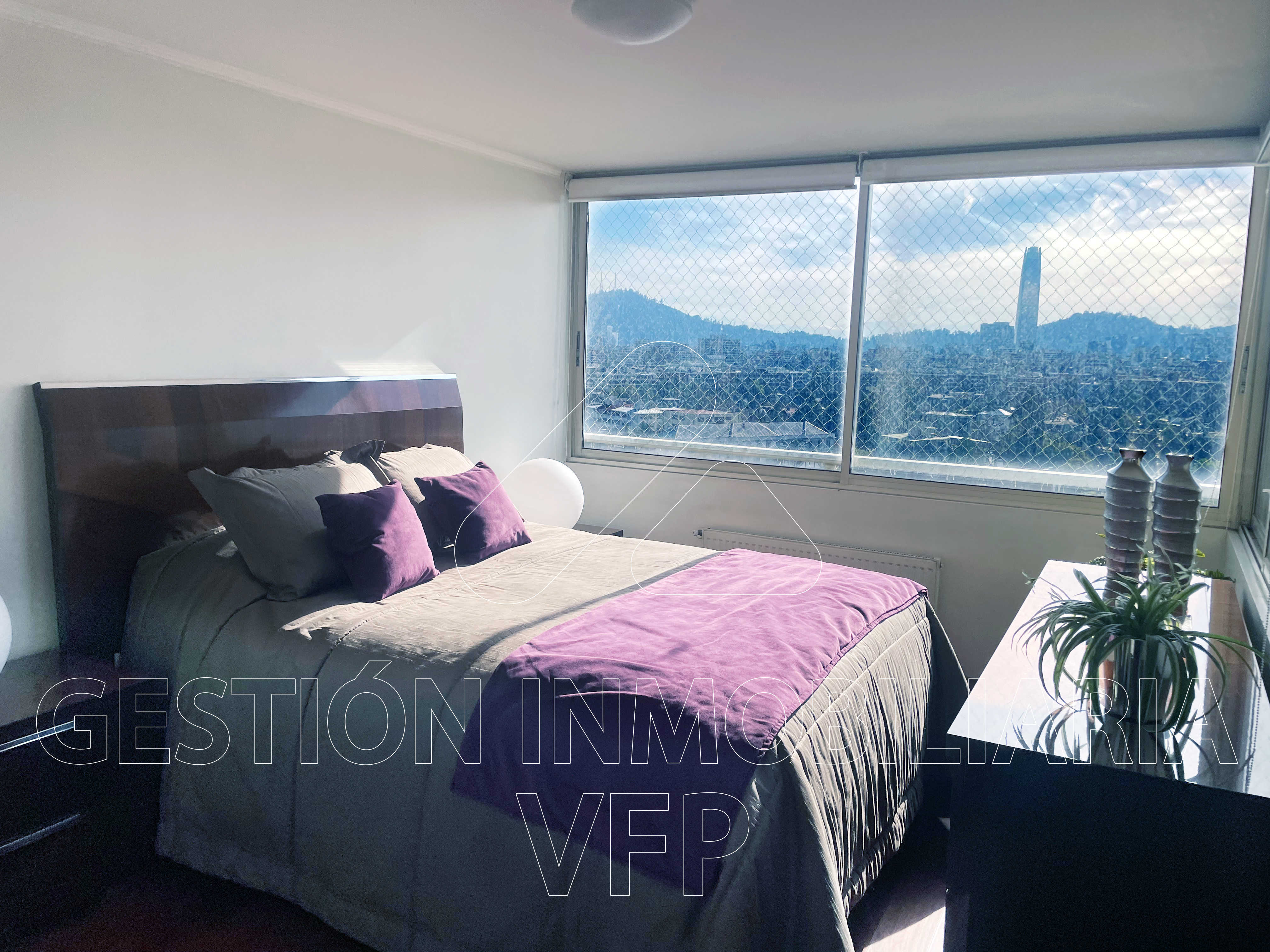 Venta Usado Departamento 3D 3B E B - Providencia