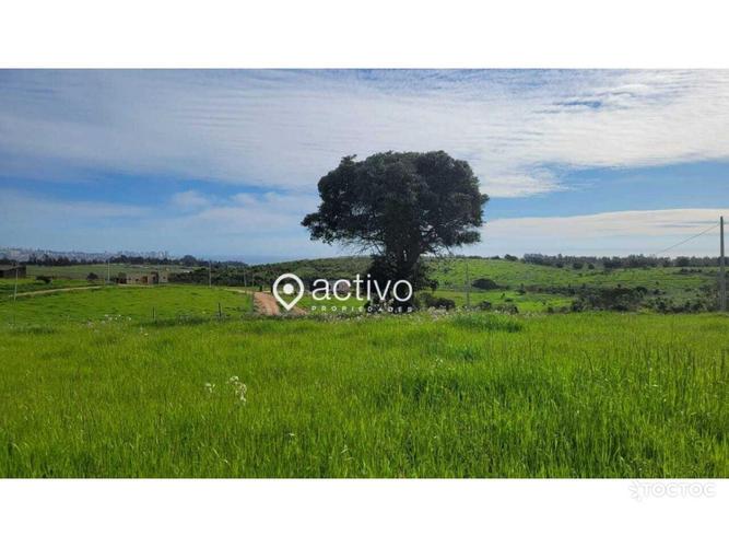 terreno en venta en Quintero