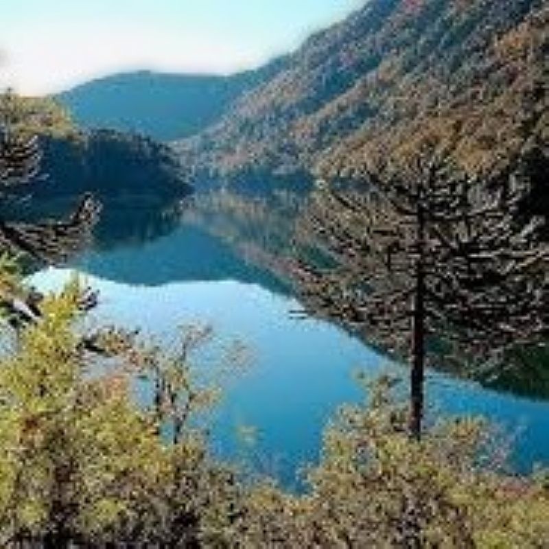 Vendo Parcela con Orilla Lago Tinquilco - Pucón