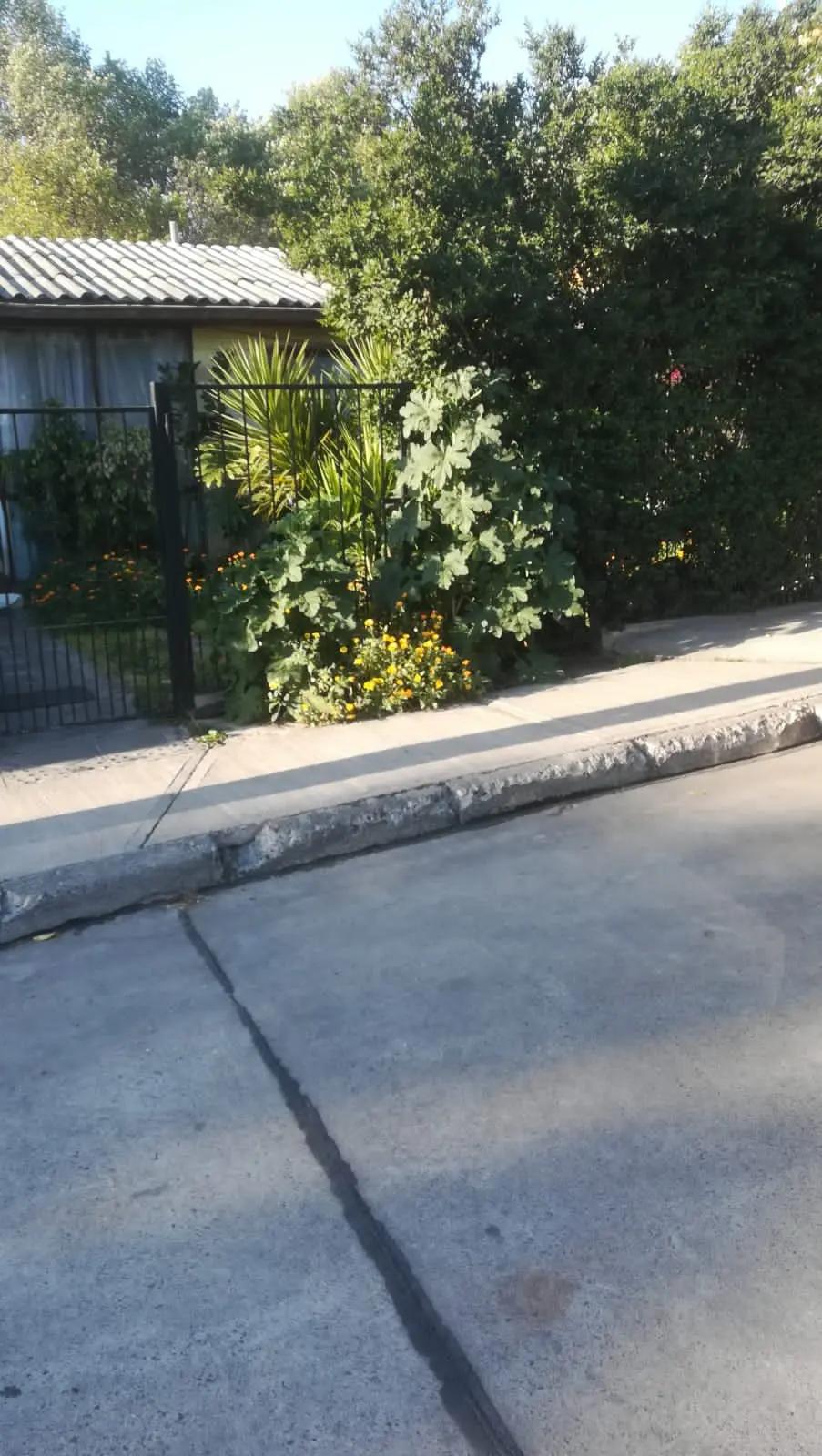 Venta Usado Casa 4D 1B - Las Condes