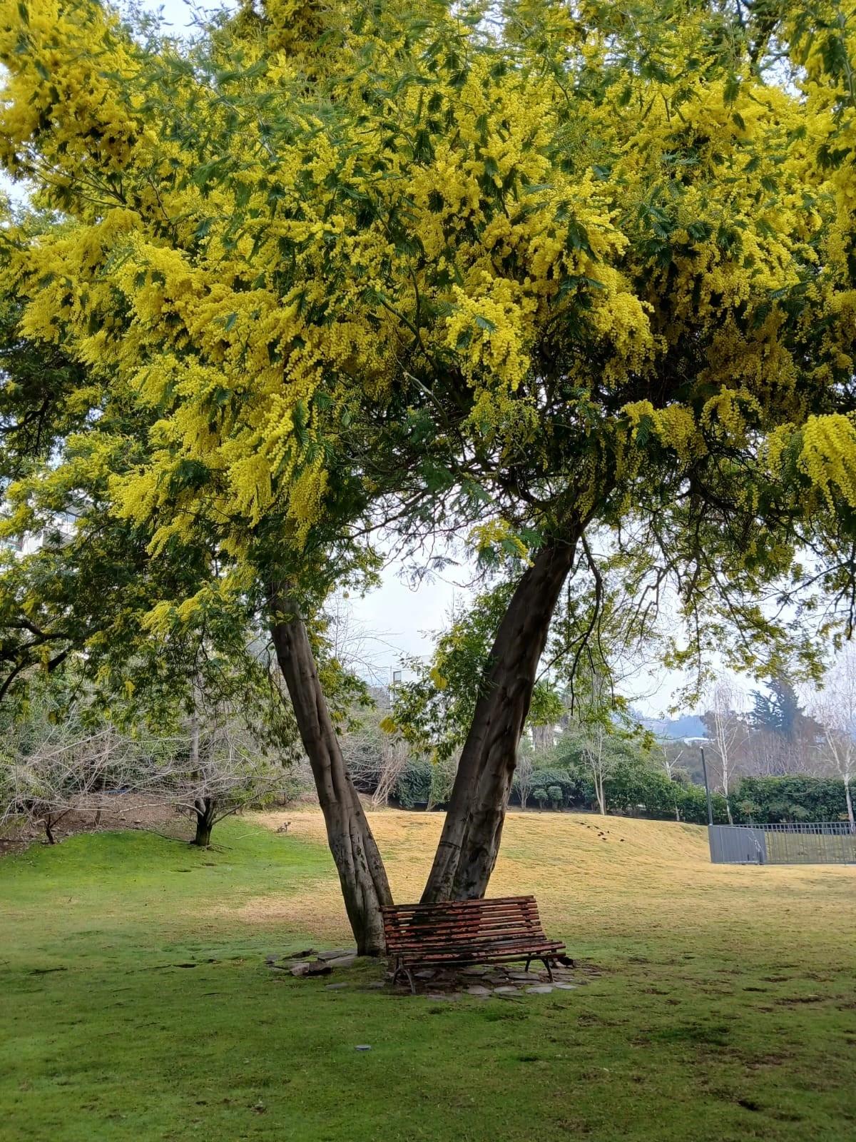 Venta Usado Departamento 1D 1B E B - Lo Barnechea