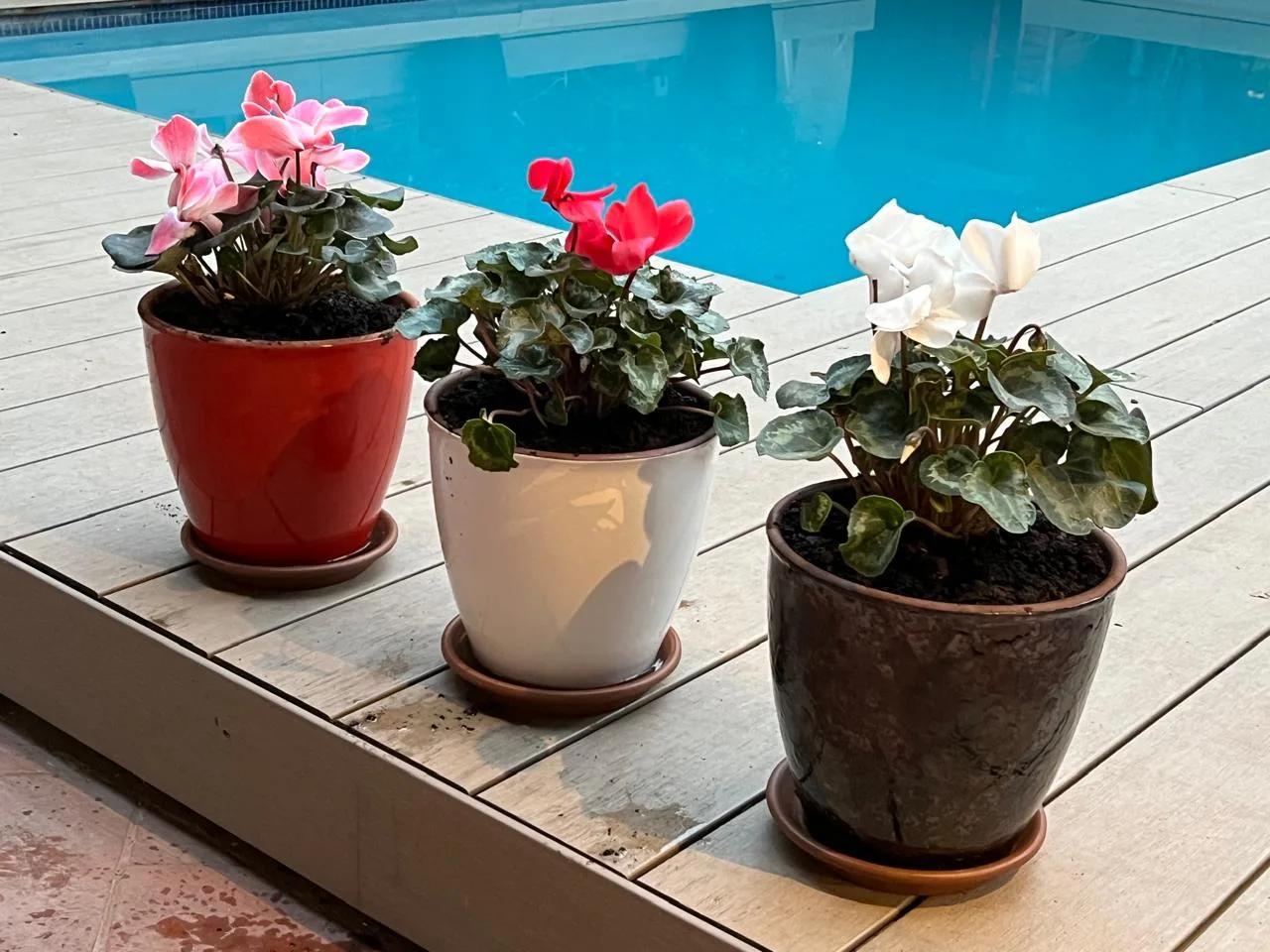 Venta Usado Casa 5D 4B - Lo Barnechea