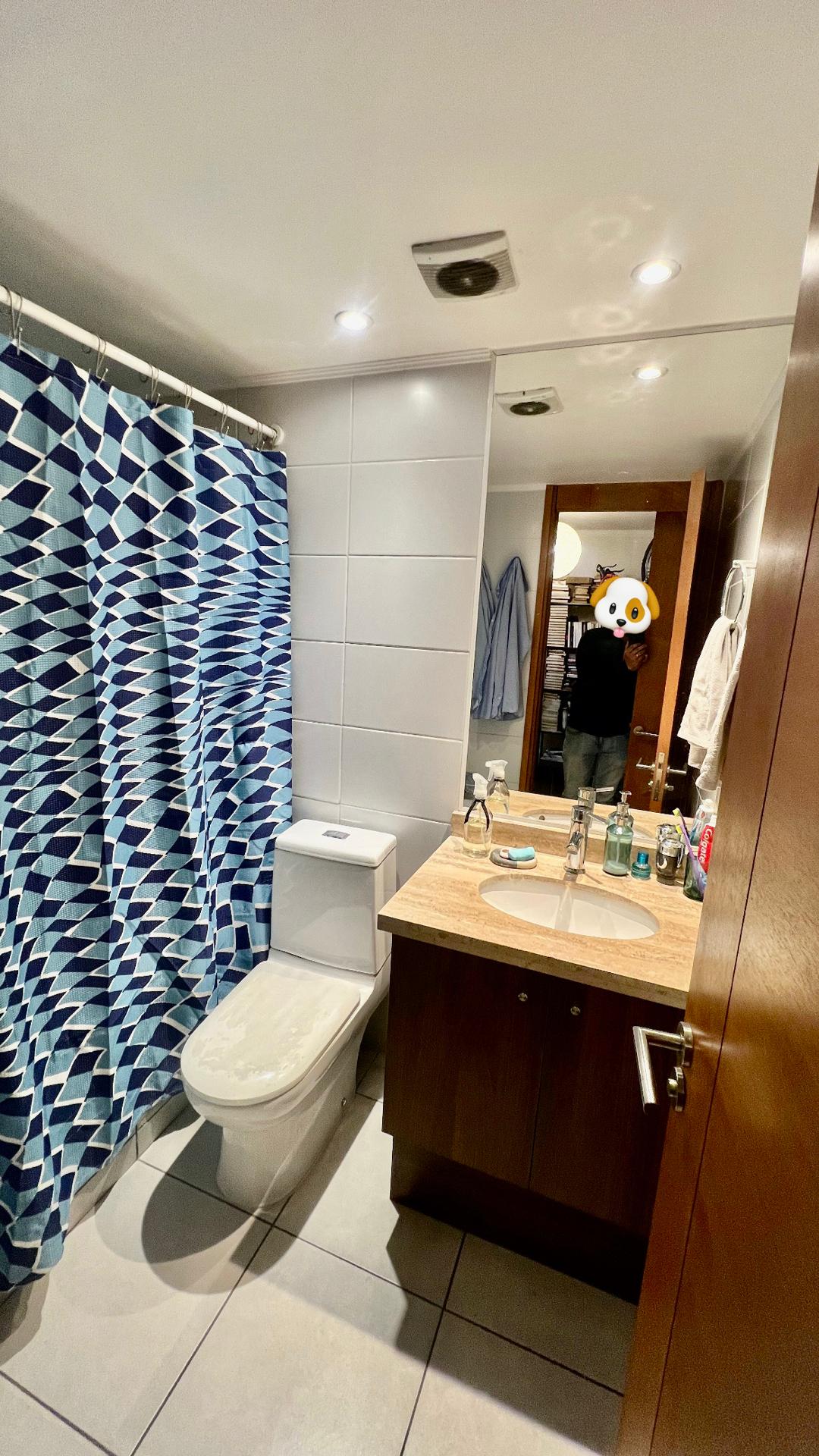 Venta Usado Departamento 2D 2B - Providencia