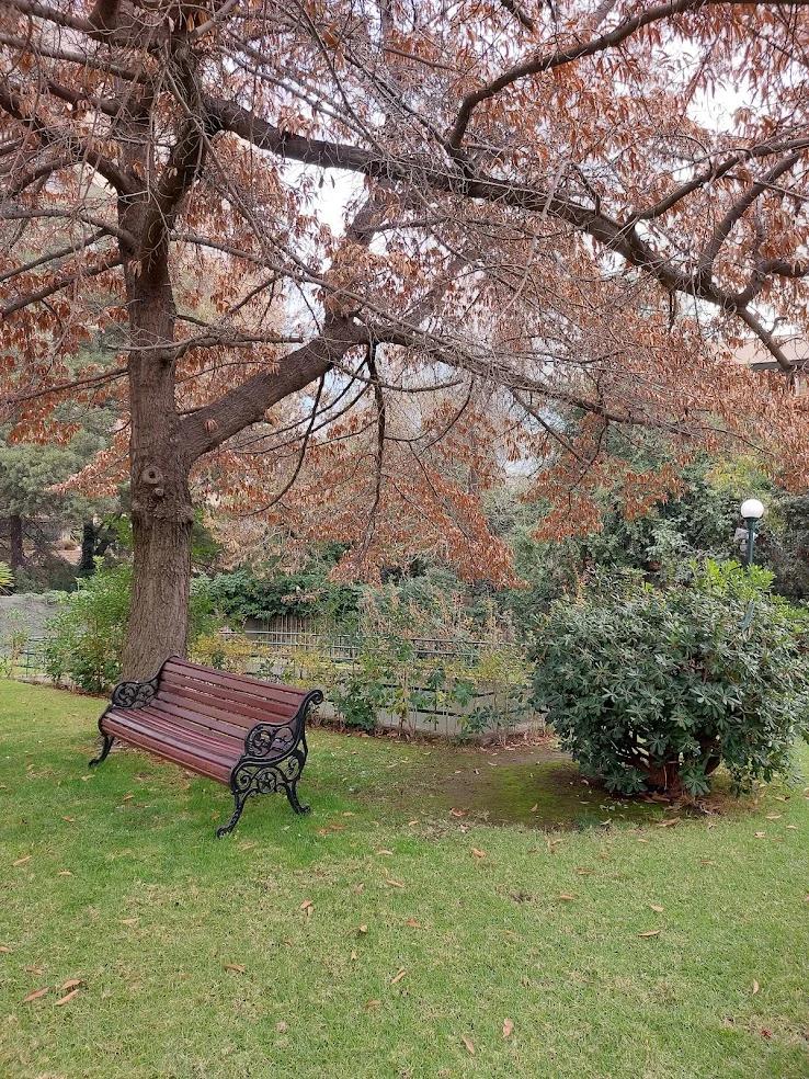 Arriendo Departamento 3D 2B B - Vitacura