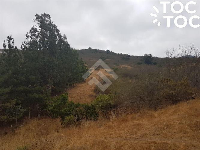 terreno en venta en Zapallar