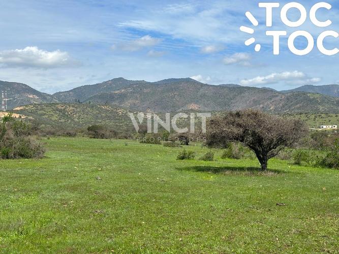 terreno en venta en Zapallar