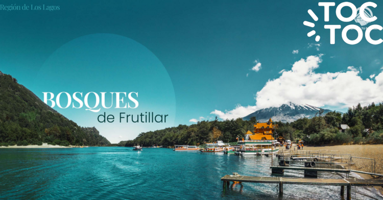 parcela en venta en Frutillar