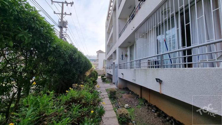 departamento en arriendo en Viña Del Mar