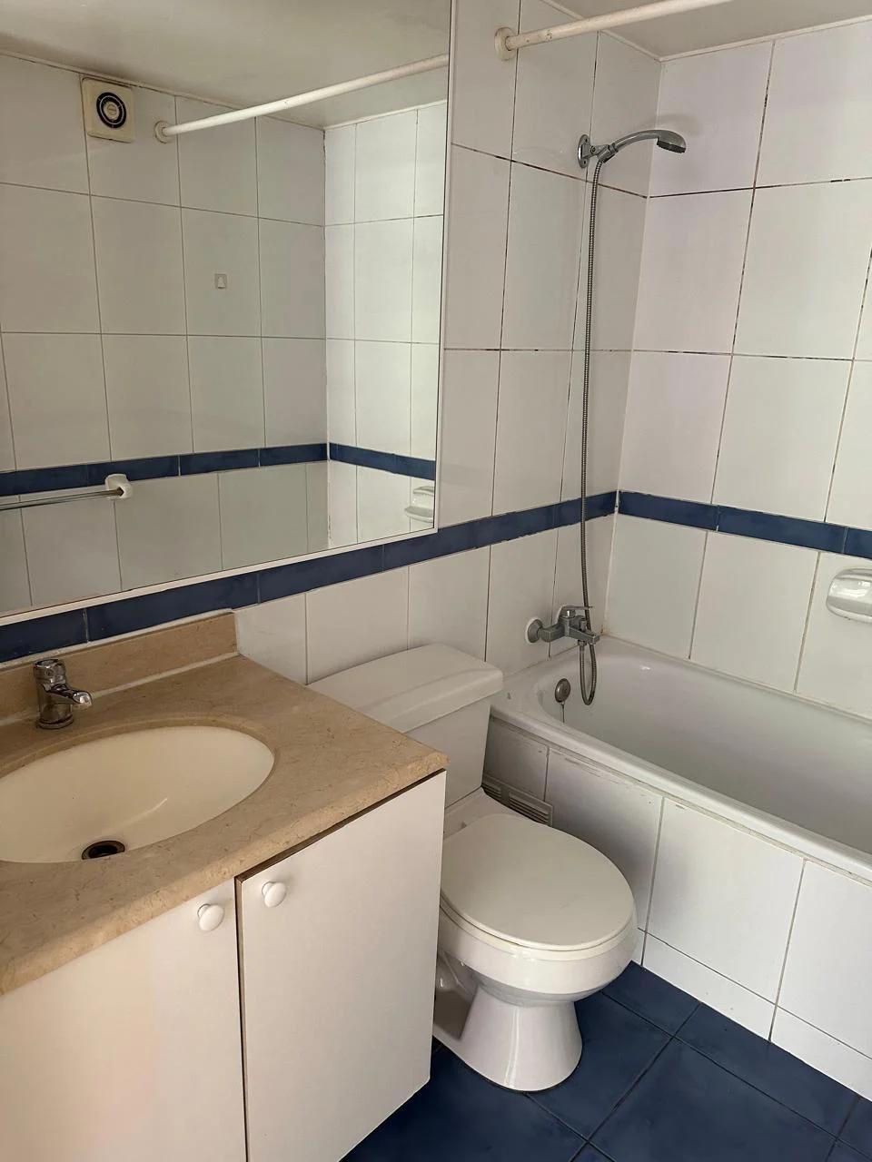 Arriendo Departamento 1D 1B E B - Providencia