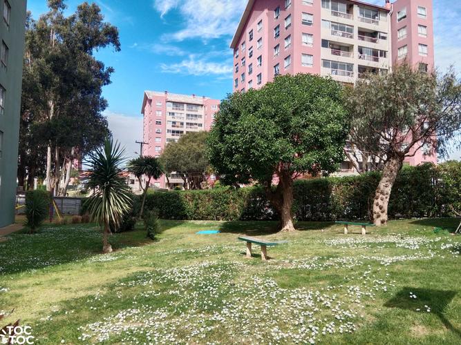 departamento en venta en Viña Del Mar