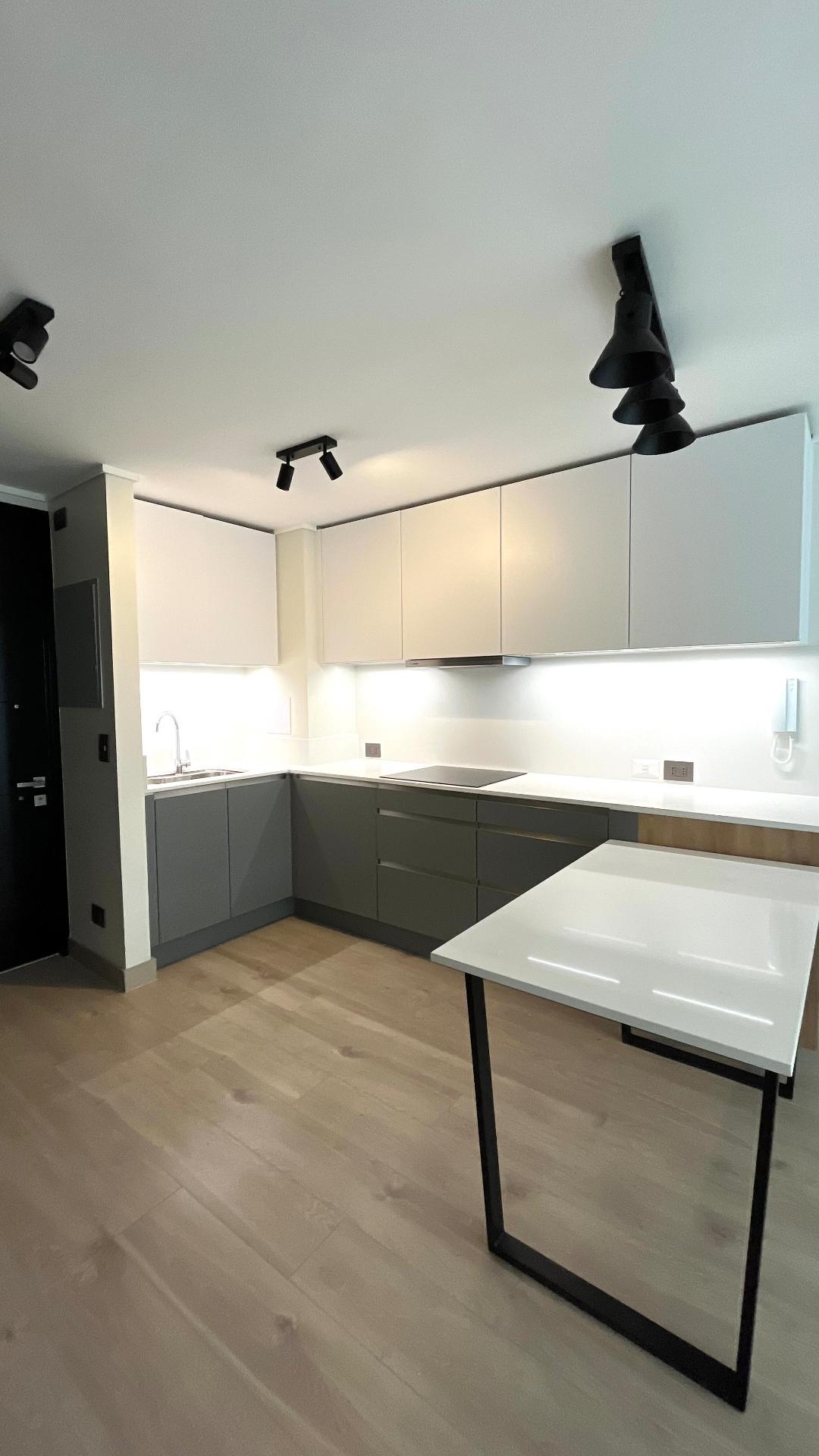 Arriendo Departamento 2D 2B B - Providencia