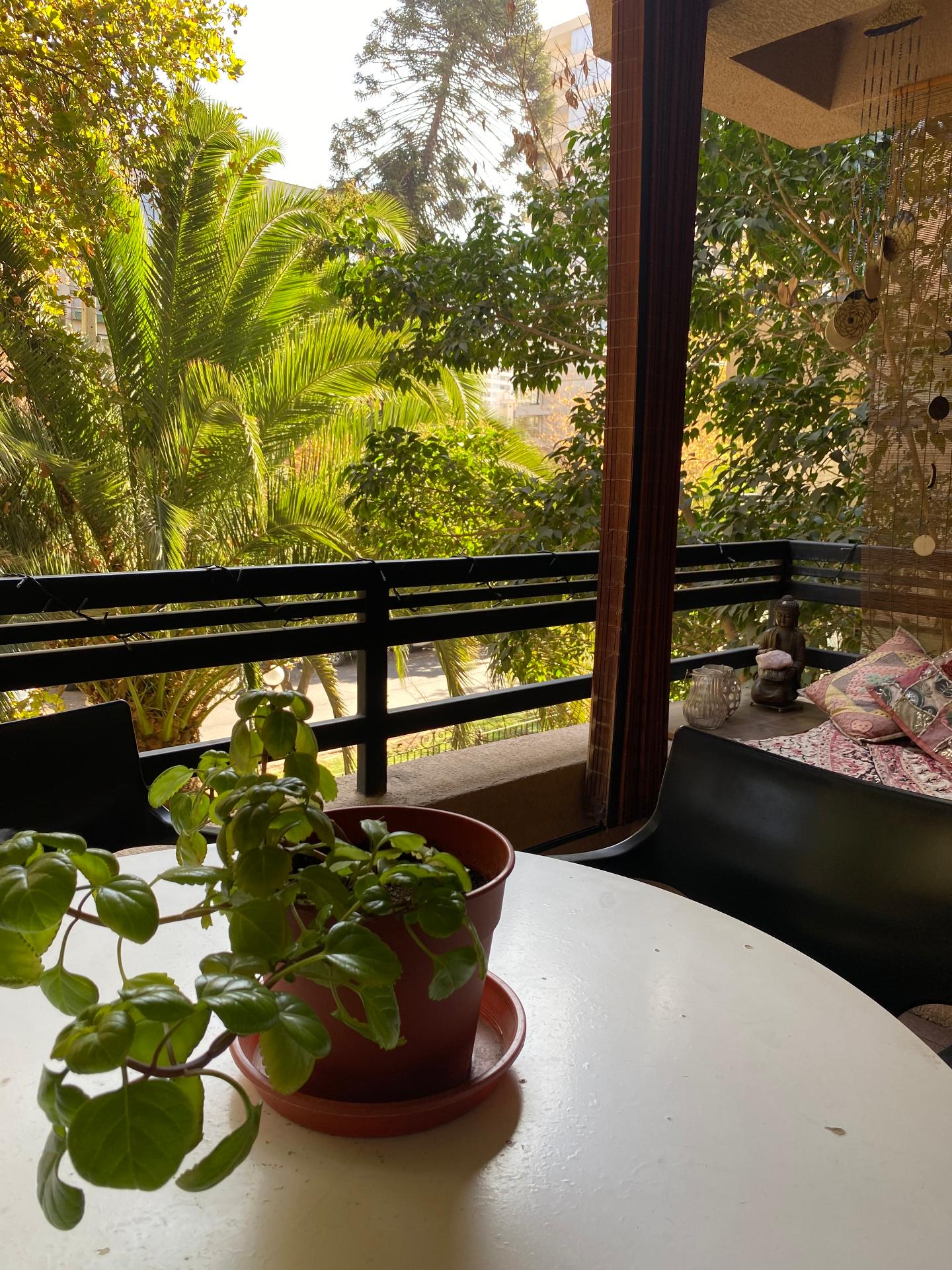 Venta Usado Departamento 3D 3B - Providencia