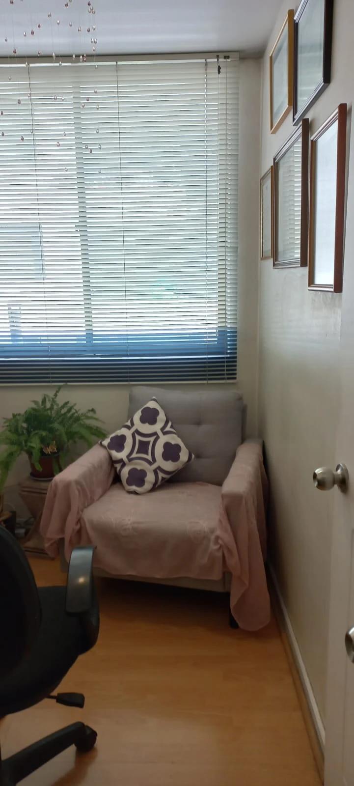 Venta Usado Departamento 3D 2B E B - Providencia