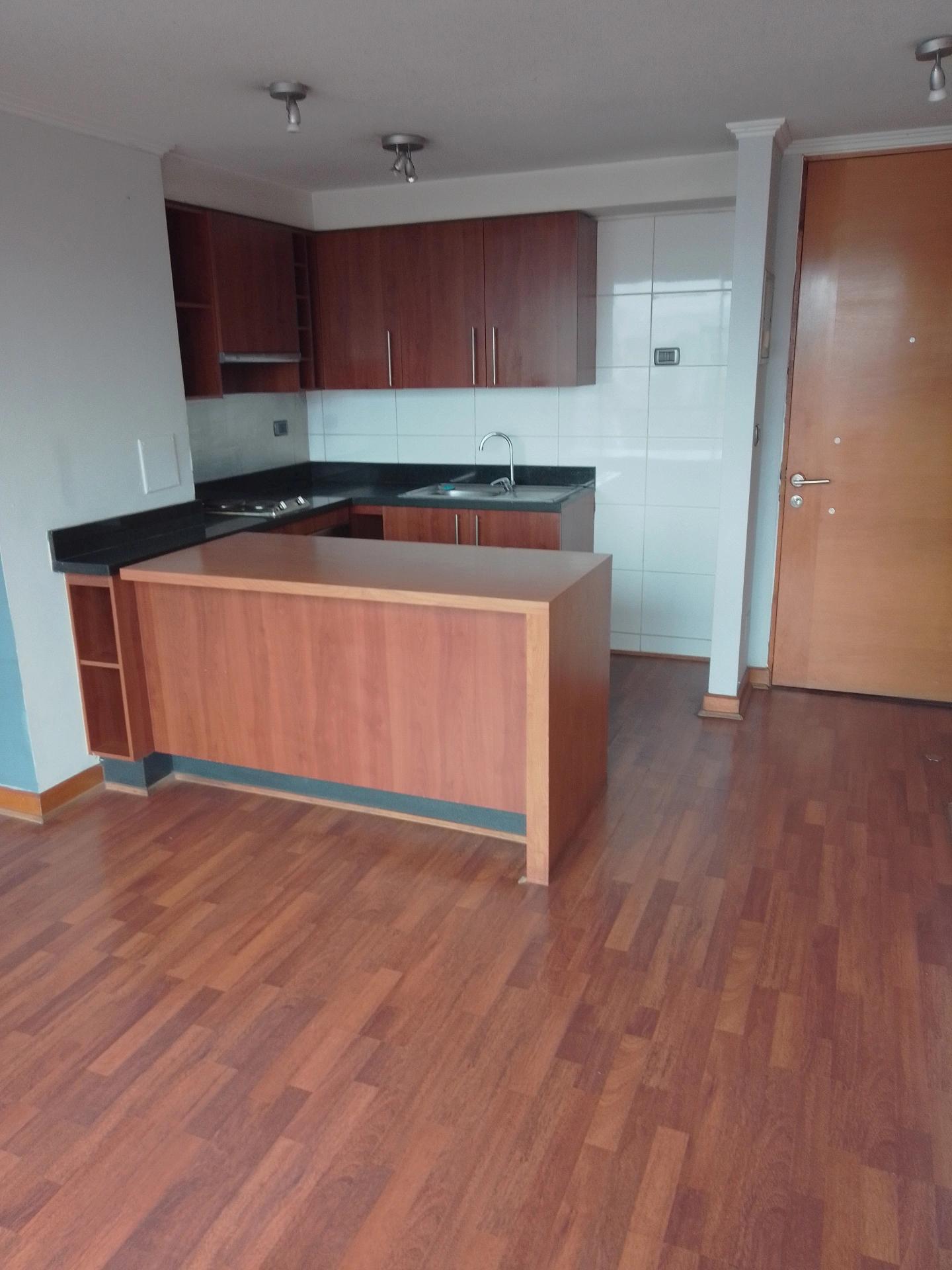 Arriendo Departamento 1D 1B E B - Providencia