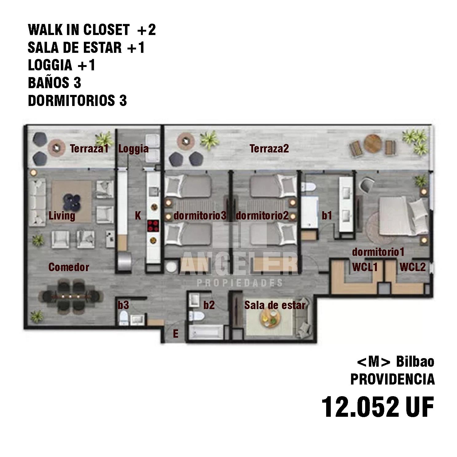 Venta Usado Departamento 3D 3B - Providencia