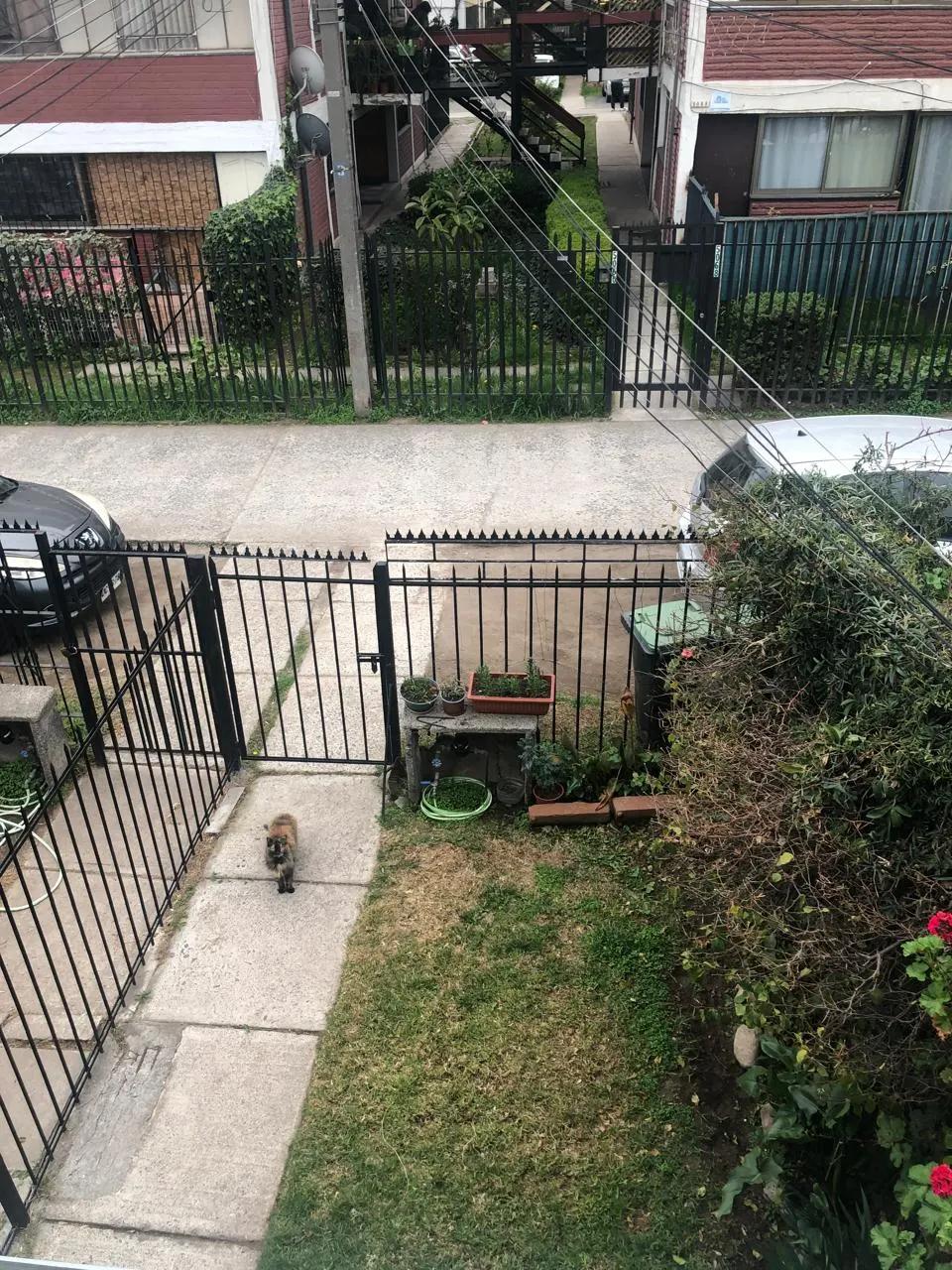 Venta Usado Casa 2D 1B - &Ntilde;u&ntilde;oa