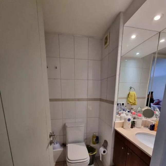 Arriendo Departamento 2D 2B E B - Providencia