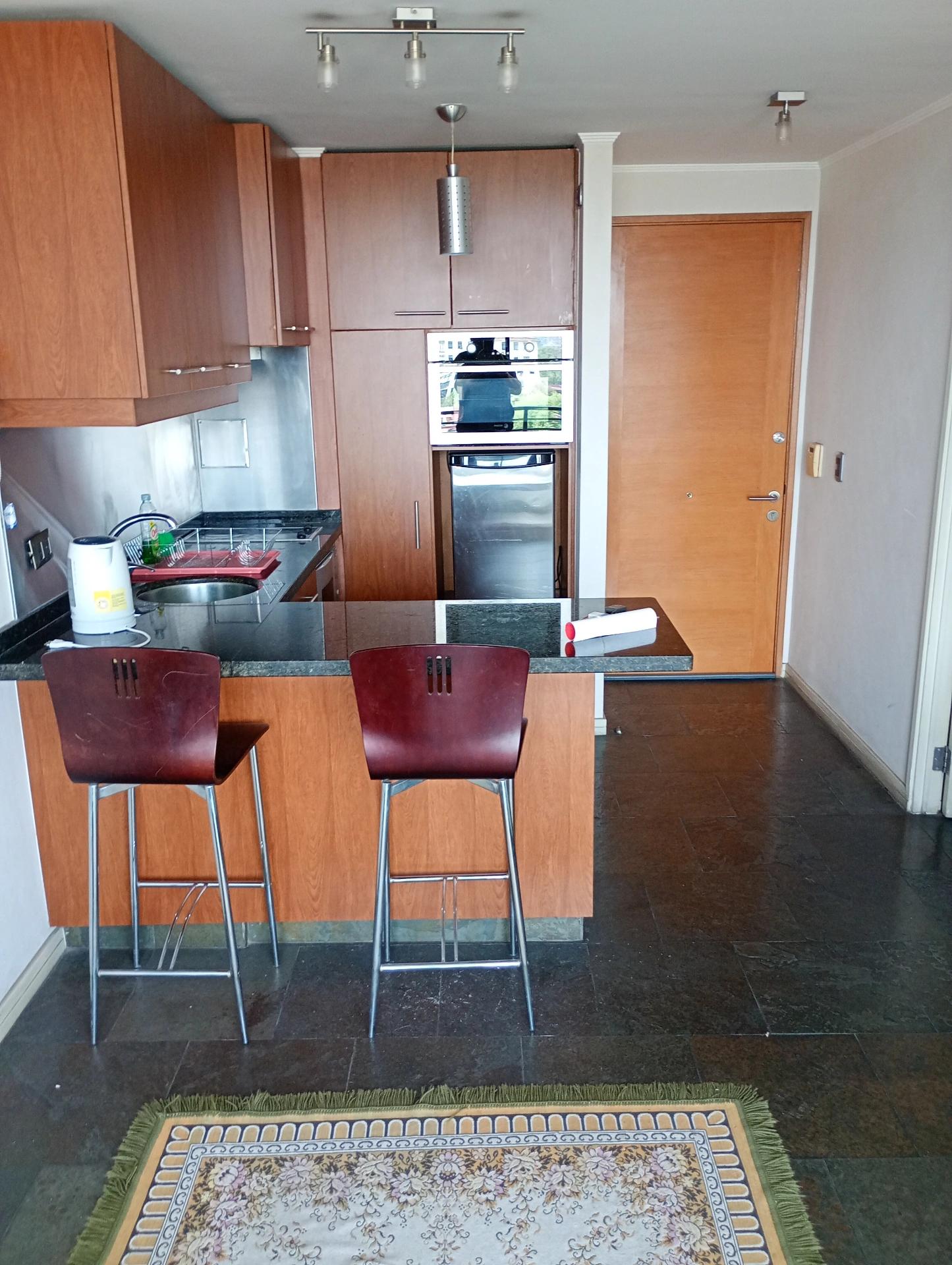 Arriendo Departamento 1D 1B - Providencia