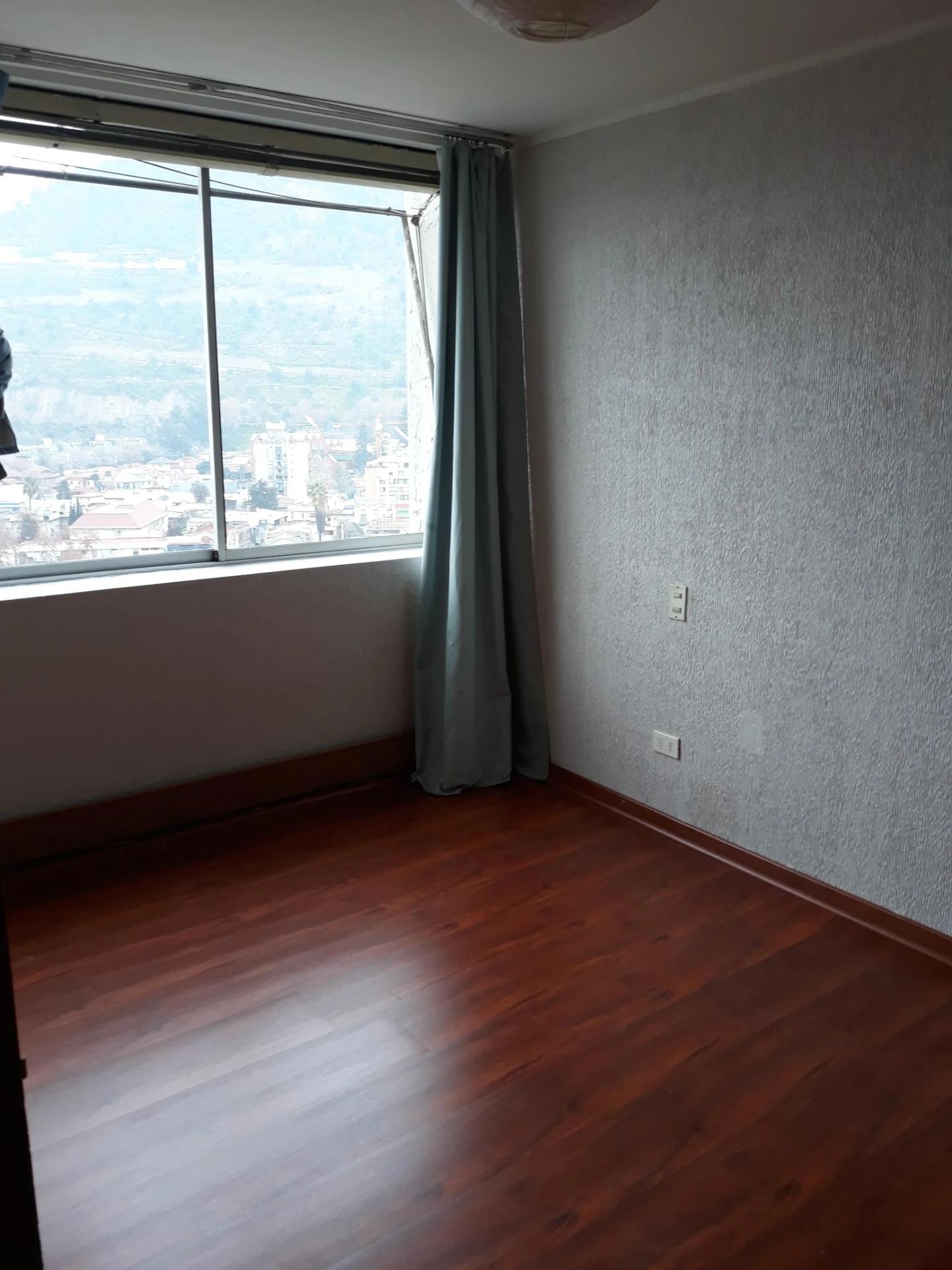 Arriendo Departamento 3D 3B - Providencia