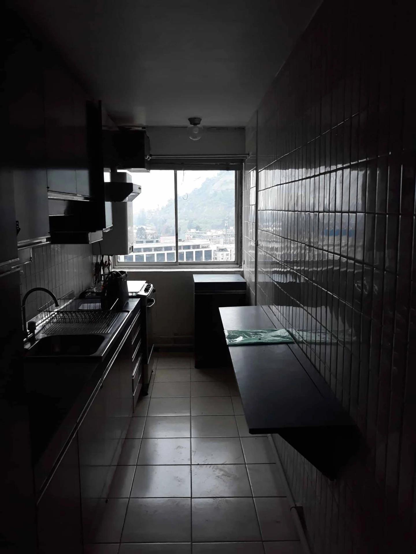 Arriendo Departamento 3D 3B - Providencia