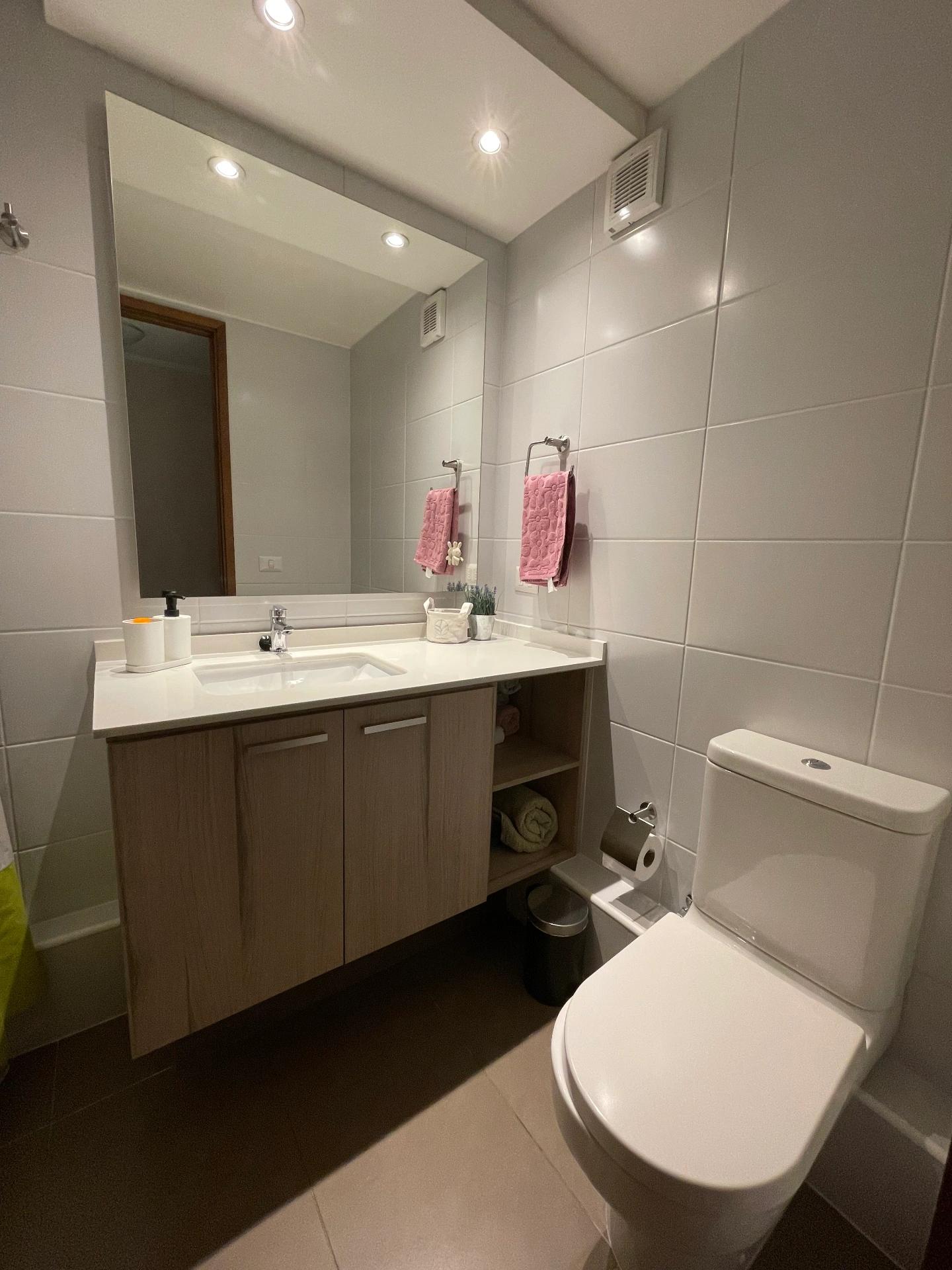 Venta Usado Departamento 2D 2B E B - Providencia