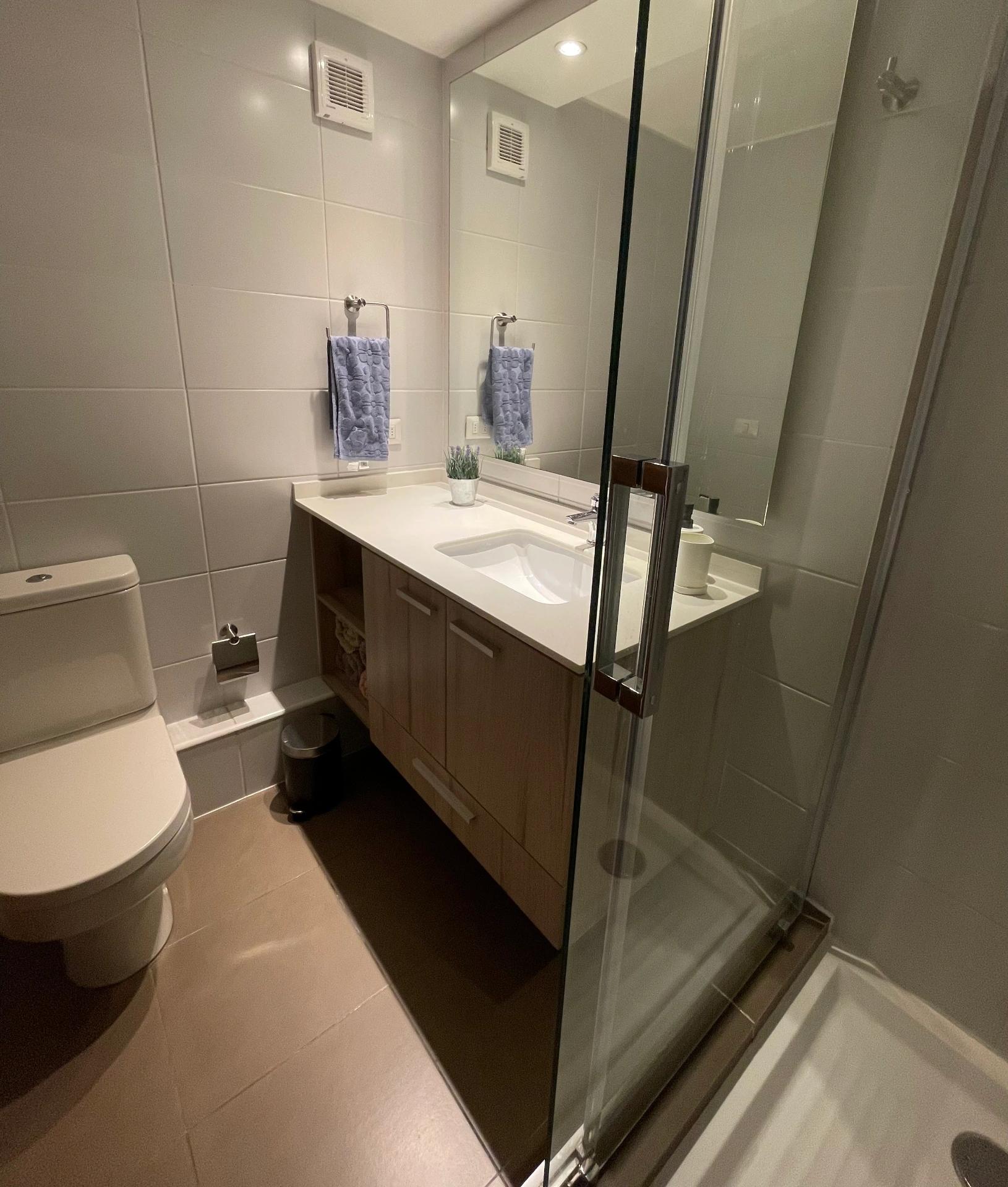 Venta Usado Departamento 2D 2B E B - Providencia