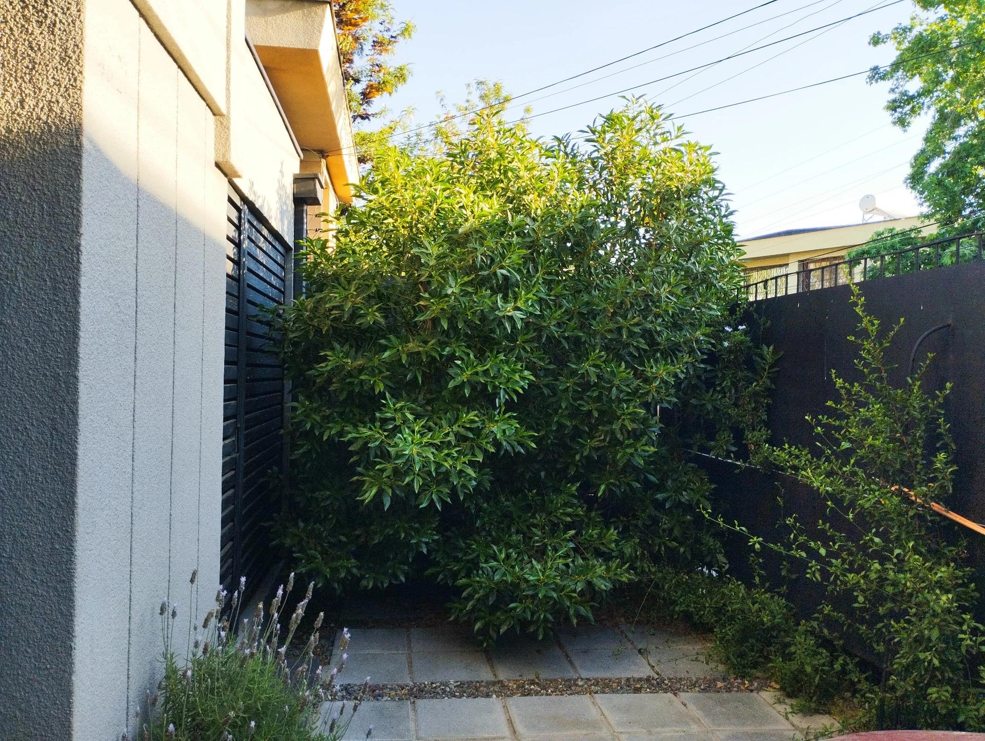 Arriendo Casa 4D 2B E - Las Condes