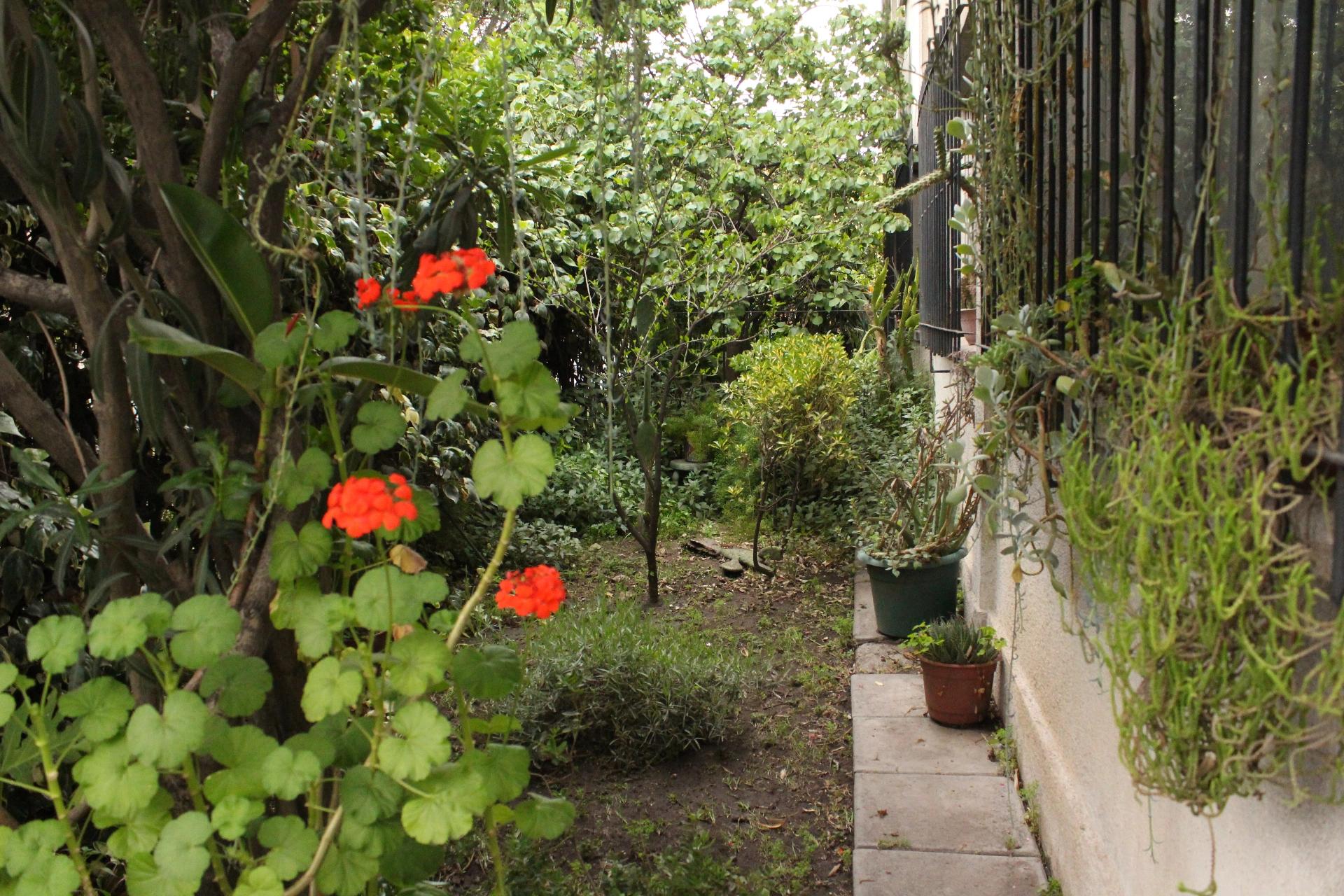 Venta Usado Casa 3D 2B E - &Ntilde;u&ntilde;oa