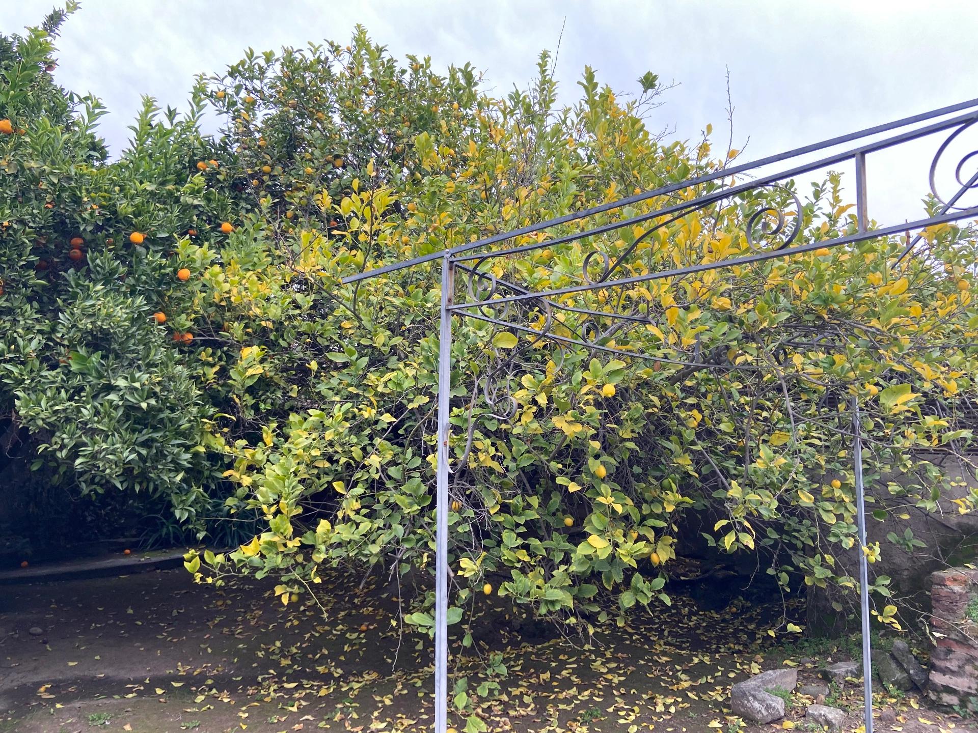 Arriendo Casa 4D 3B - Las Condes