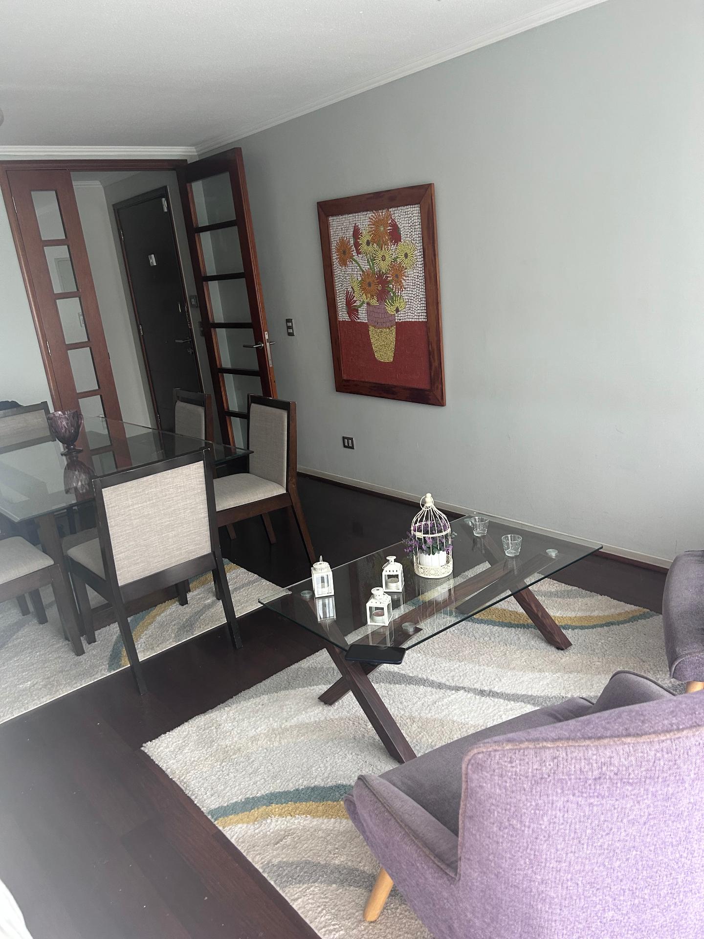 Arriendo Departamento 2D 2B - Providencia