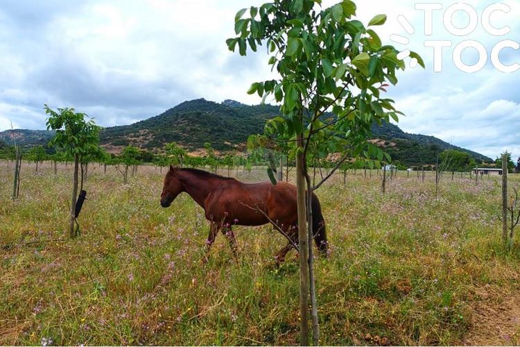 terreno en venta en Santa Cruz