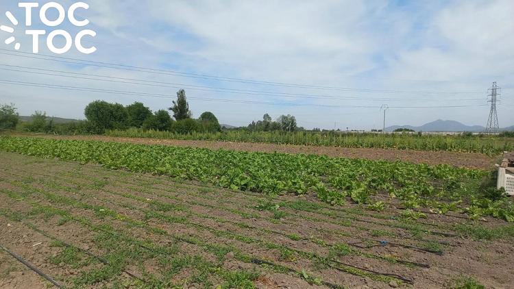 terreno en venta en Quillota